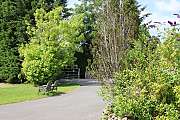 Gallery Picture 20